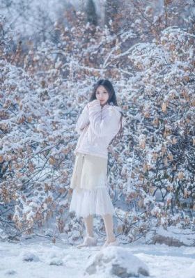 群星闪耀时电视剧免费看